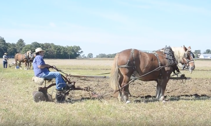 plowing the field
